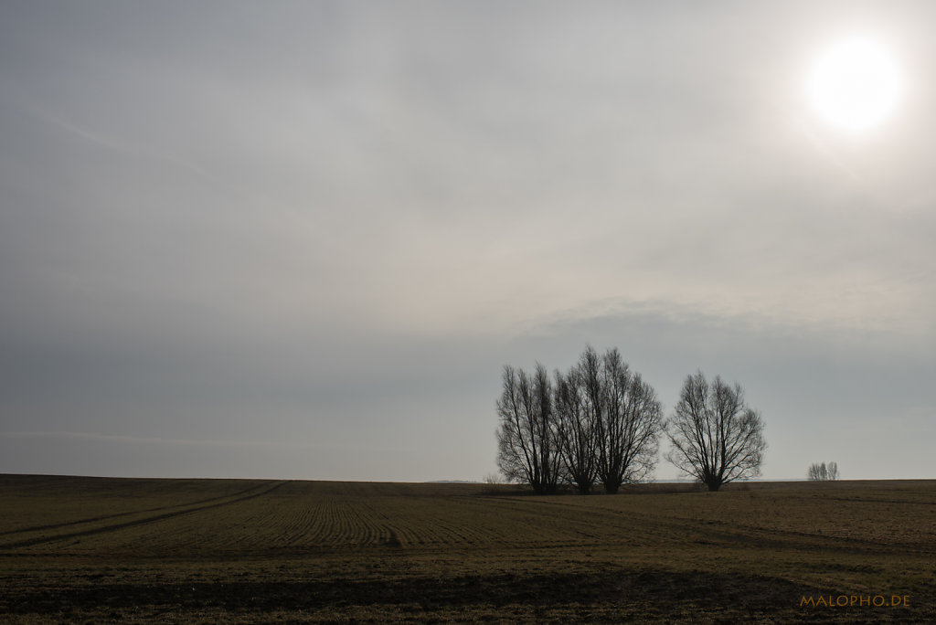 Auf dem Feld