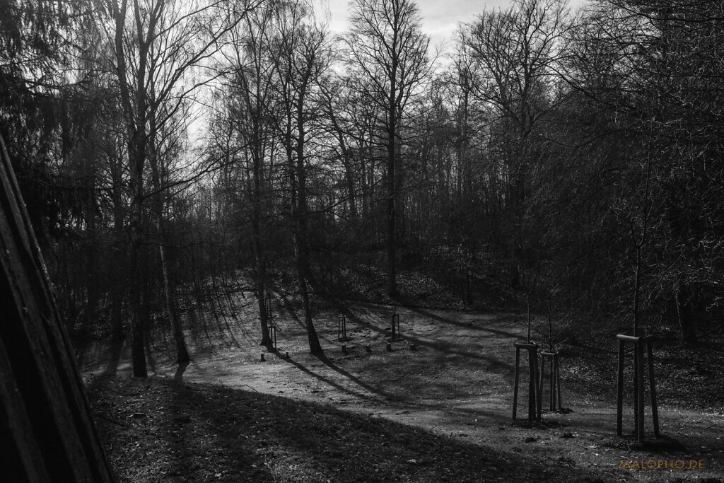 Golm Blick-2