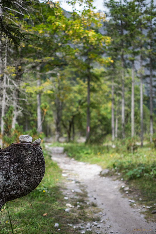 Waldweg