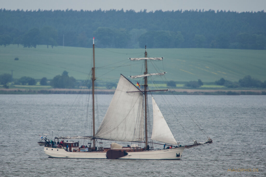 Weiße Düne 2