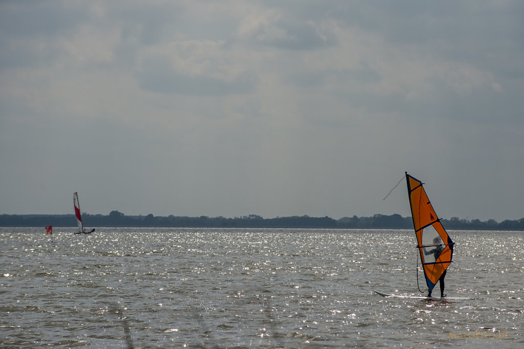Surferin Orange 2