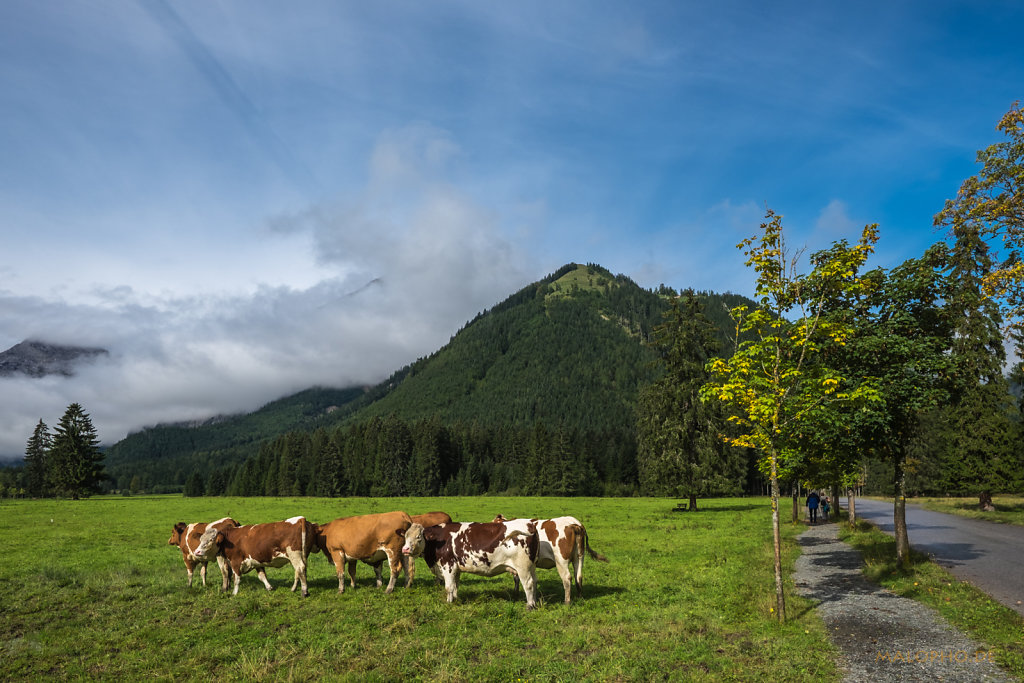 Feilkopfsteig-3