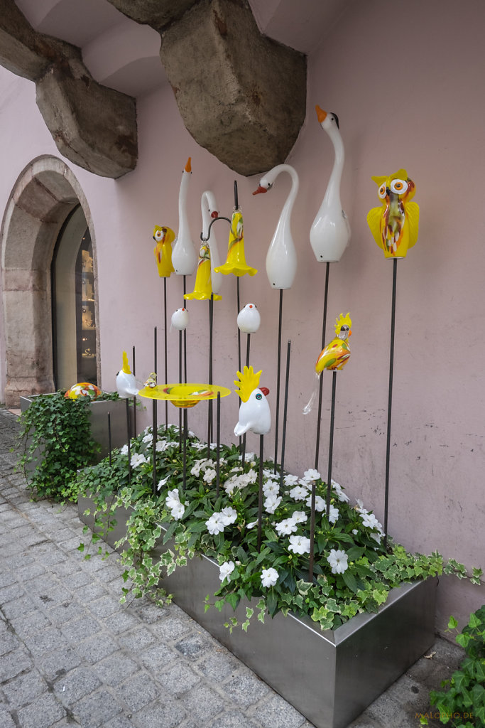 Glasvögel