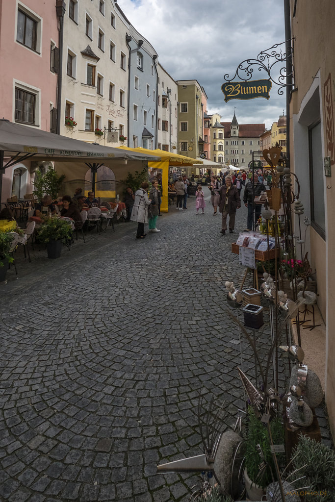 Steinblumen