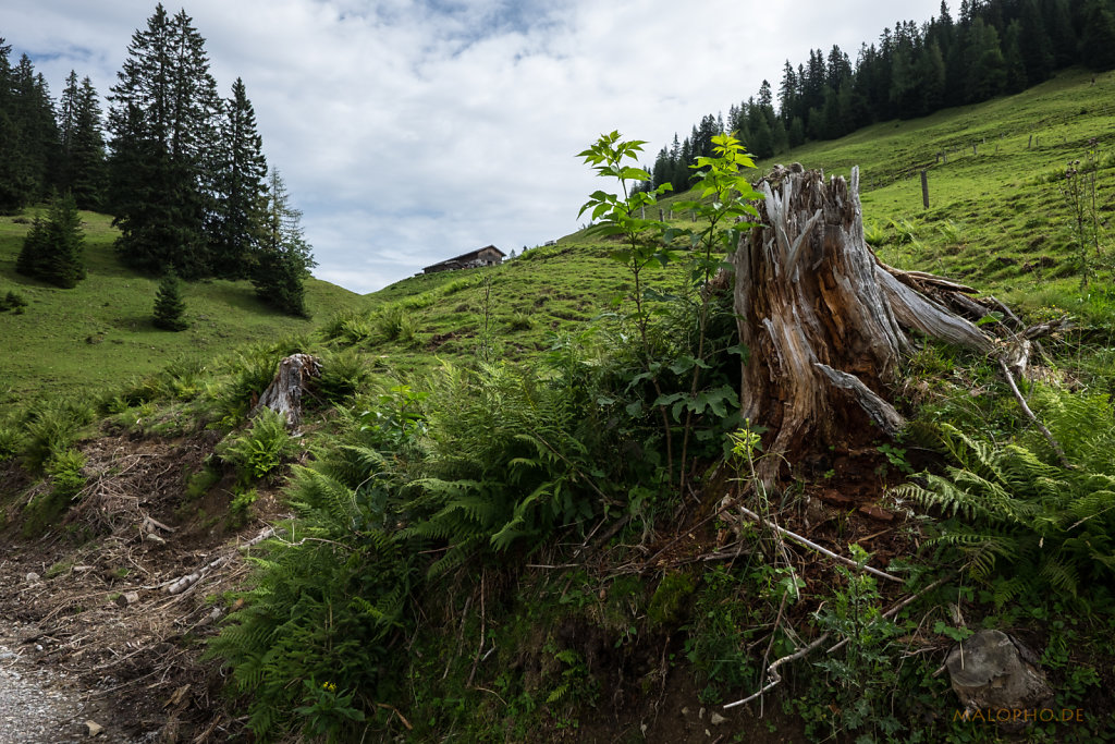 Blick zur Bärenbadalm