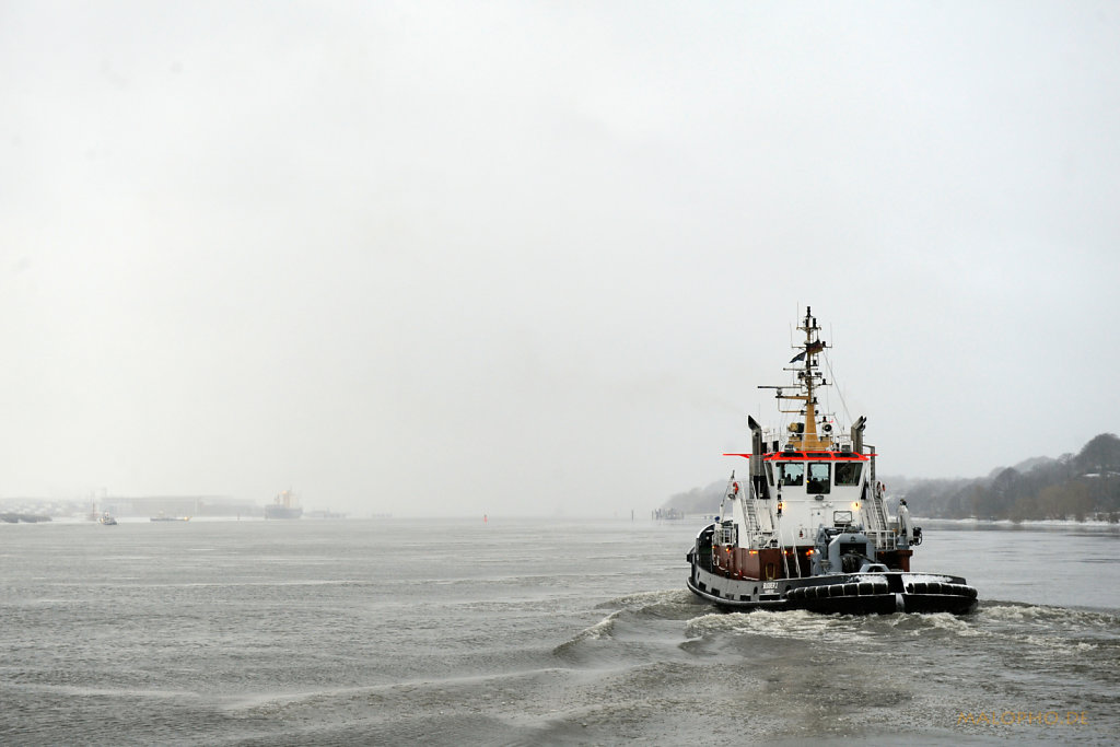 HH Hafen Januar 2010