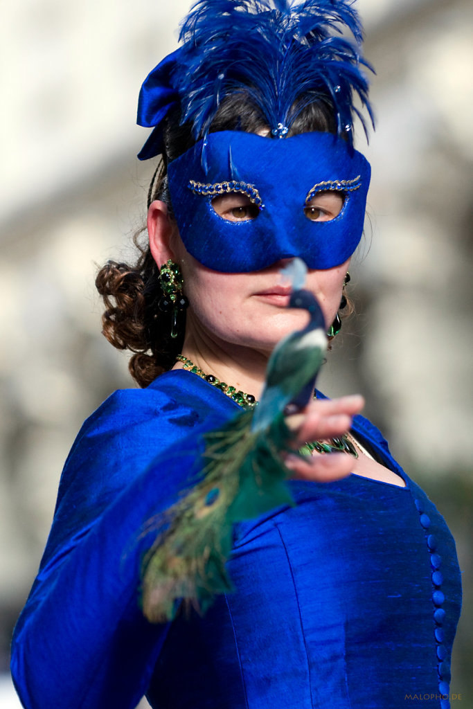 Pfau und Pfau Portrait