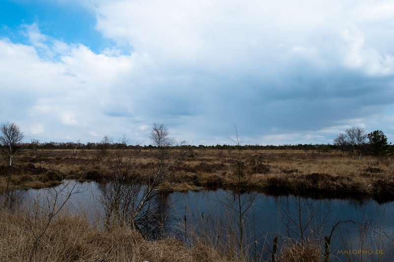 Weites Moor