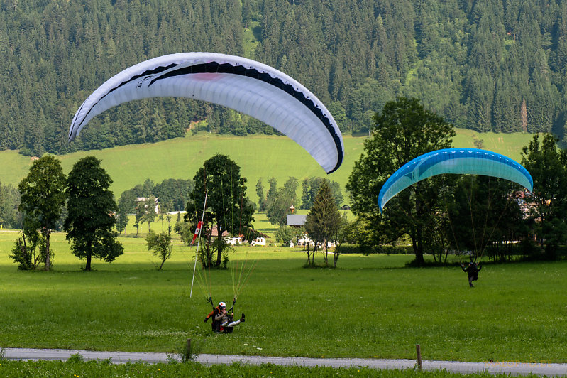 Paraglider