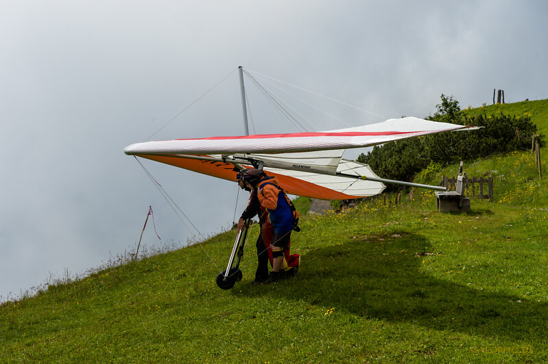 Paraglider