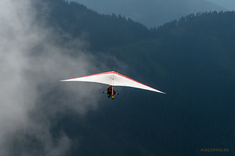 Paraglider