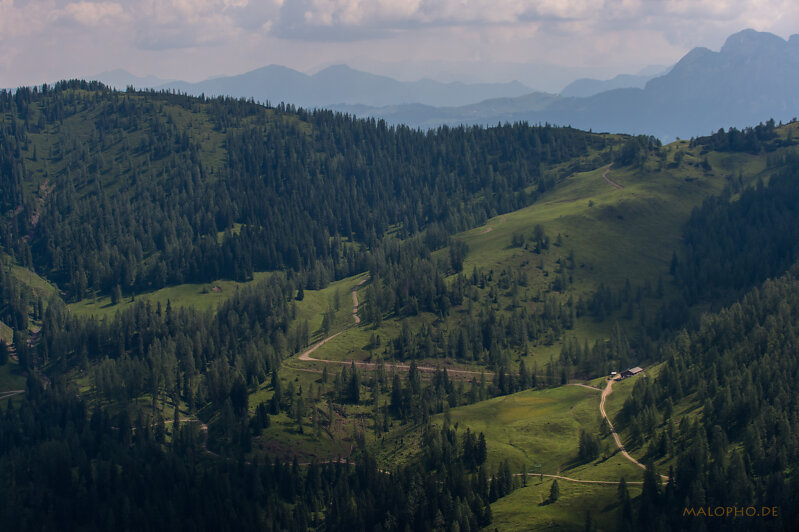 Paraglider