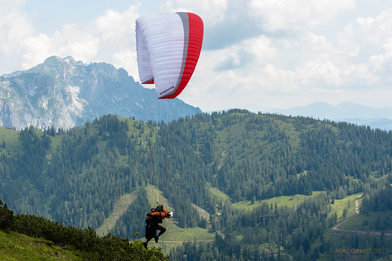 Paraglider