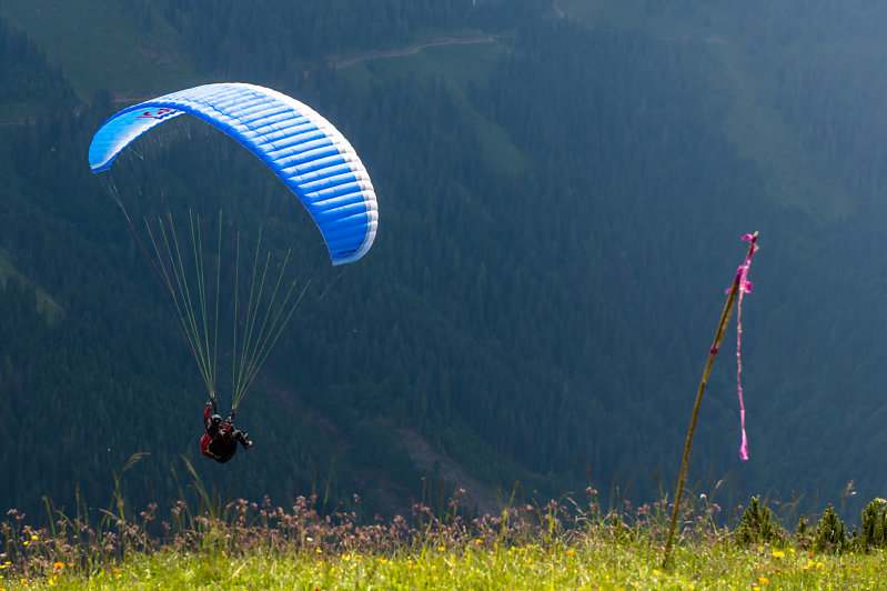 Paraglider