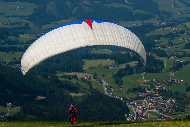 Paraglider