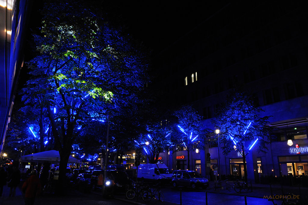 Blaue Baeume