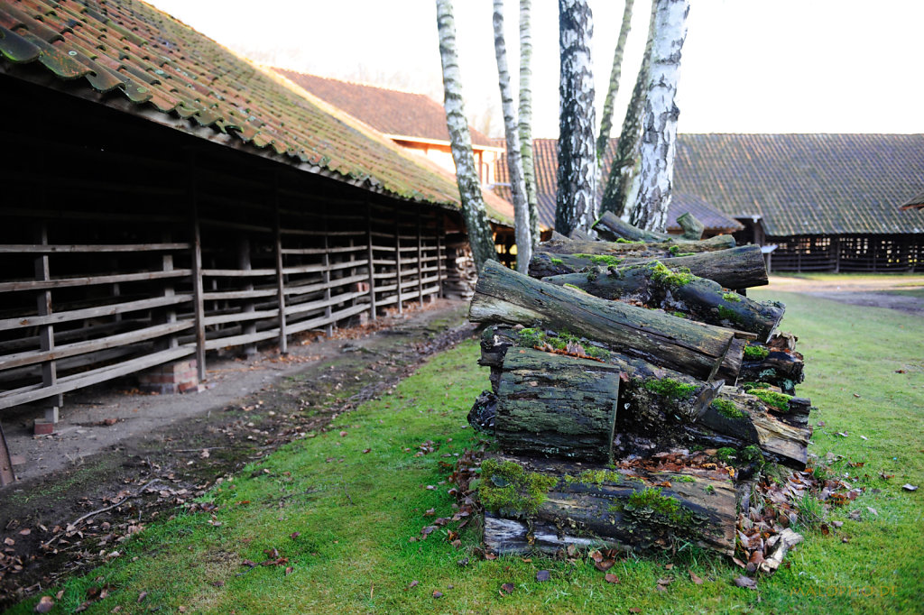Stapel 4