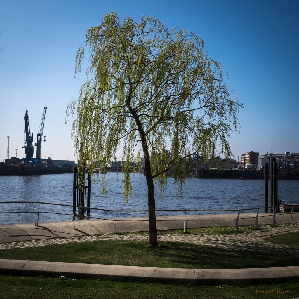 Hafenfrühling