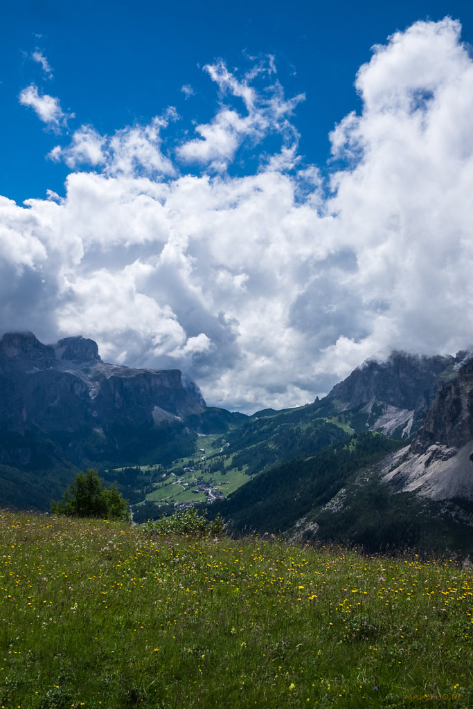 Almwiesen vor Grödnerjoch