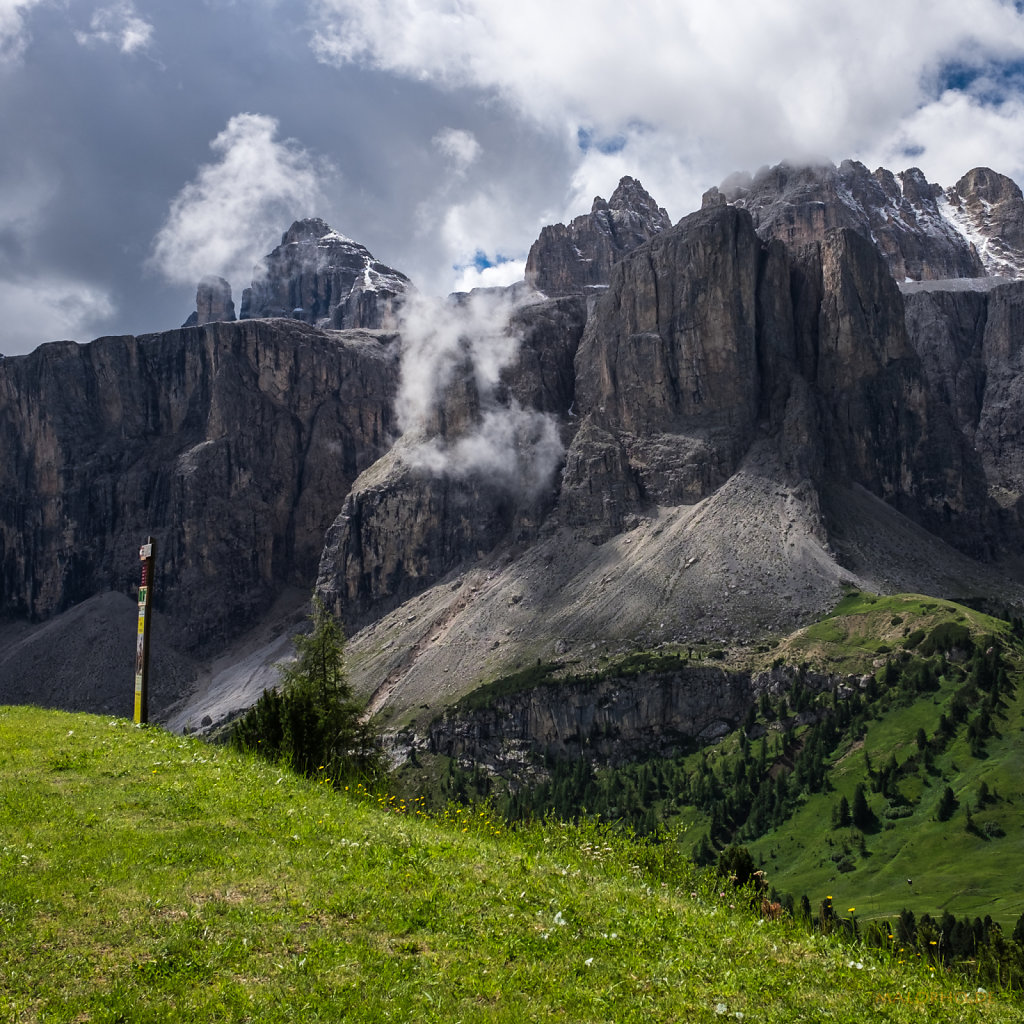 Almwiese vor Sella