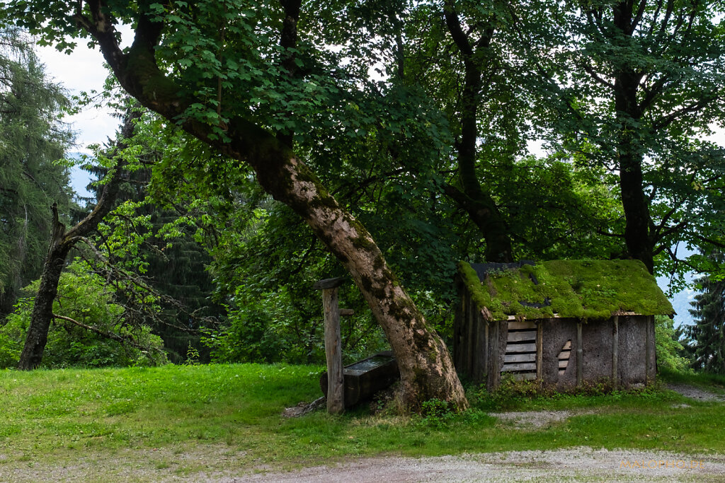 An der Mahdegg