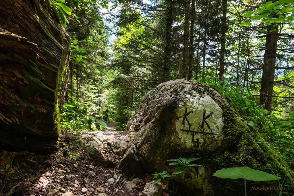 Waldweg Mahdegg-4