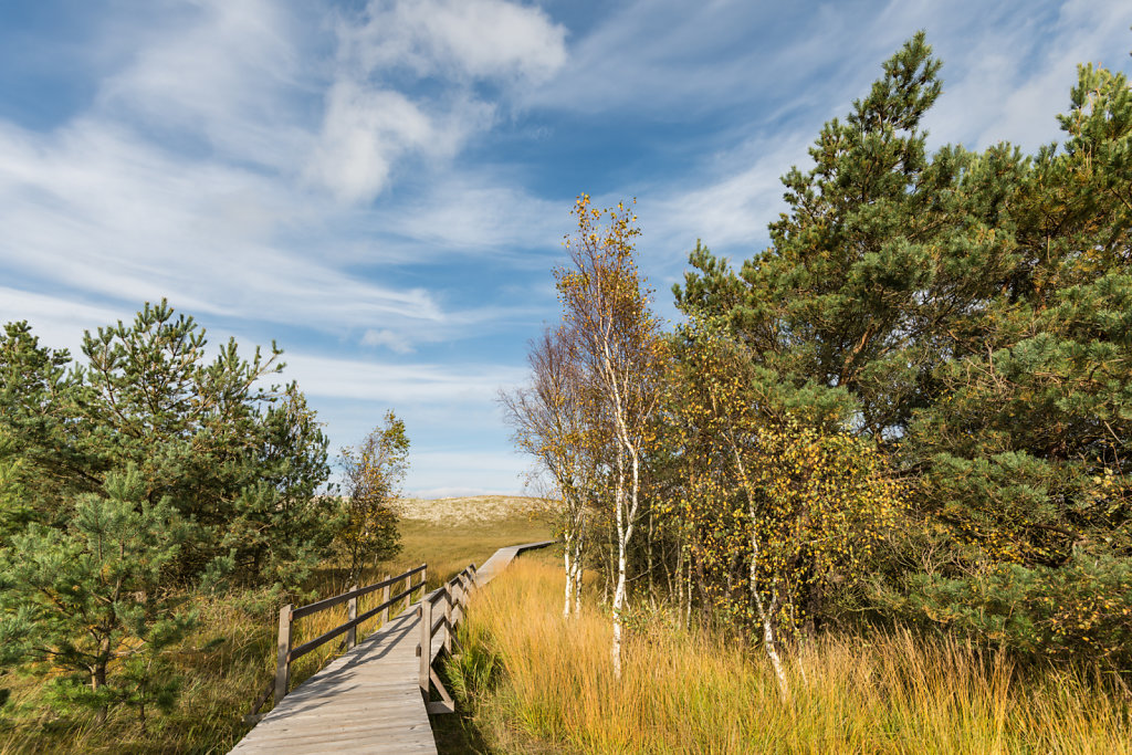 Hohe Düne