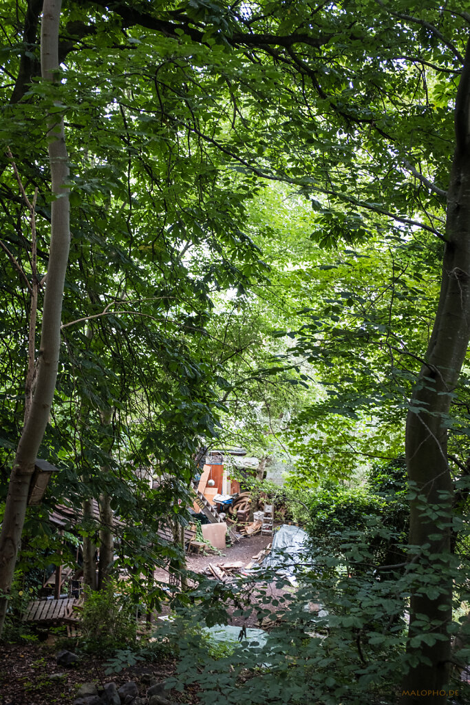Oase im Wald