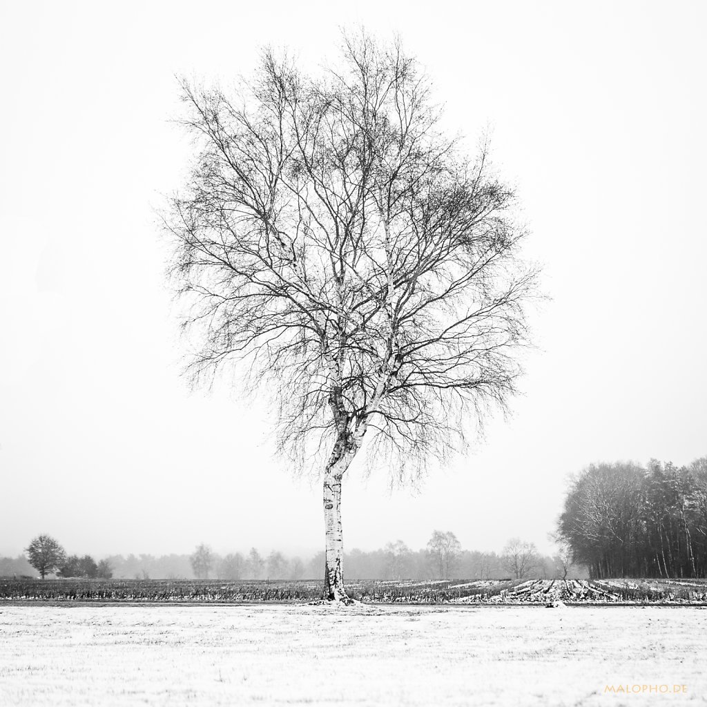 01 | 07 - Verschneiter Frust