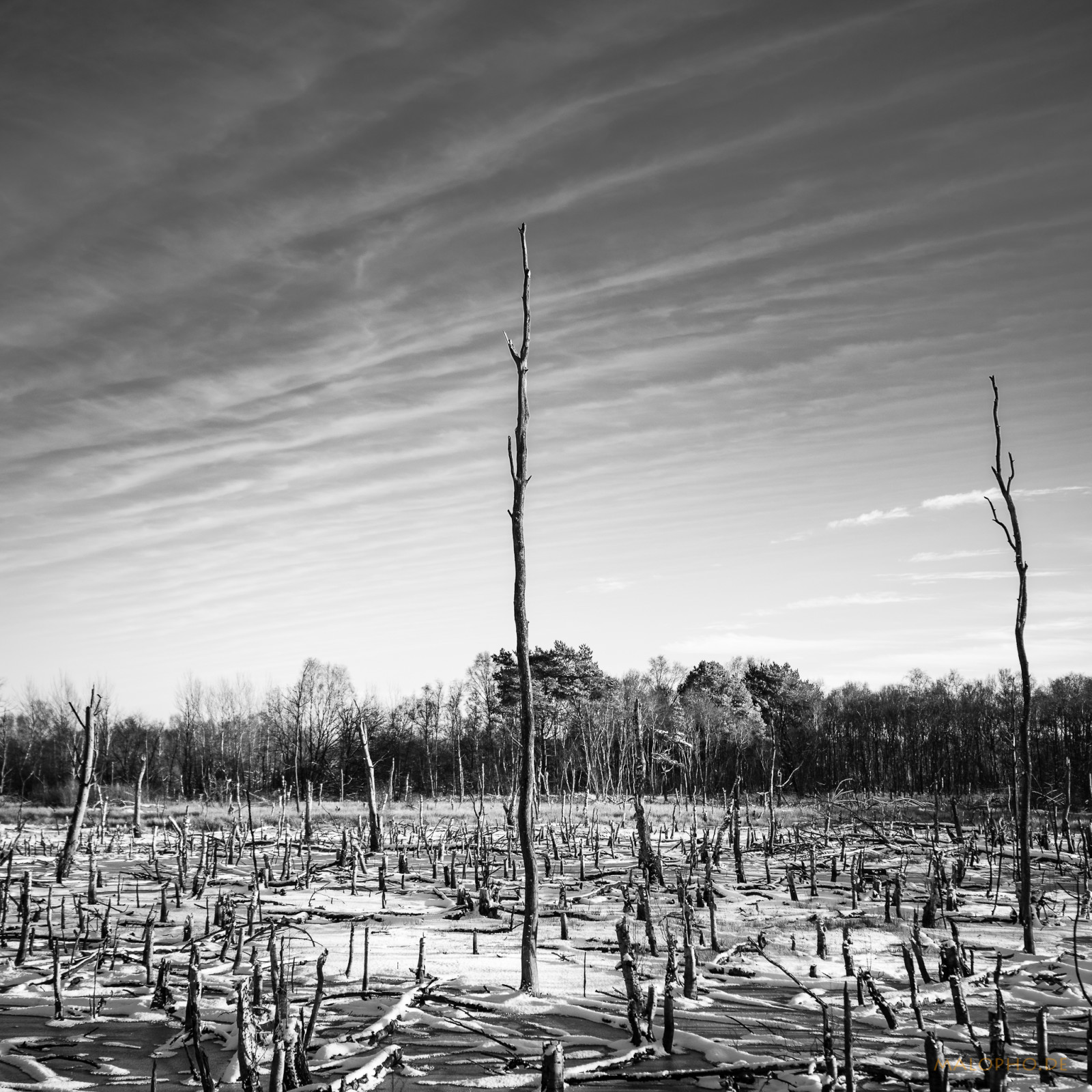 01 | 30 - Wintermoor