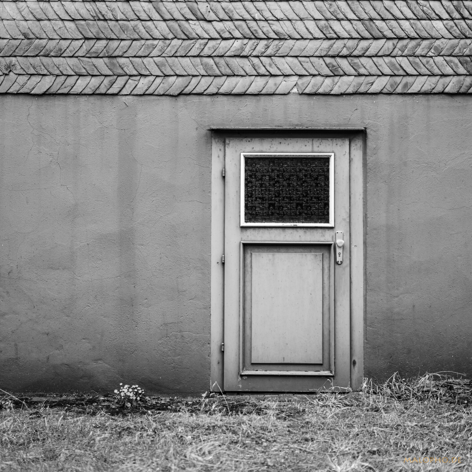 03 | 28 - Vorgarten mit Blumen