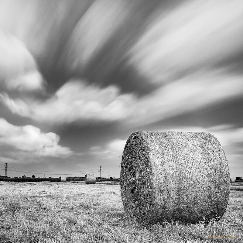 06 | 20 - Rollenernte