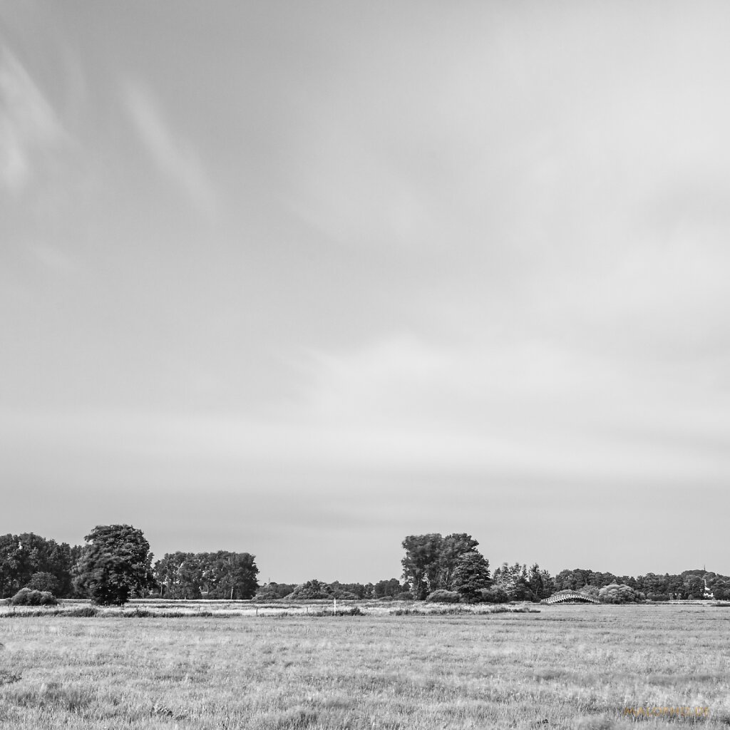 07 | 15 - Schwingesommer II