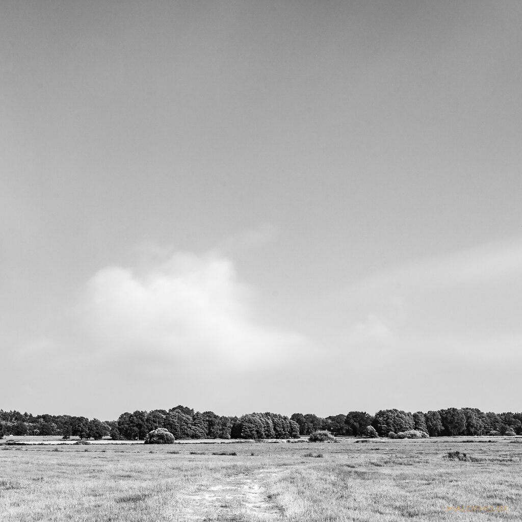 07 | 15 - Schwingesommer I