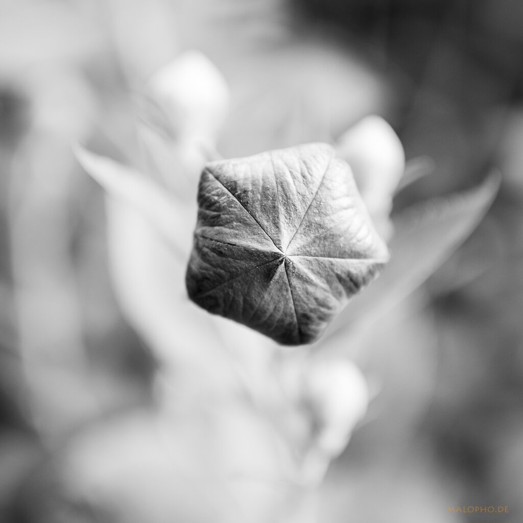 07 | 20 - Fünfeck Blau