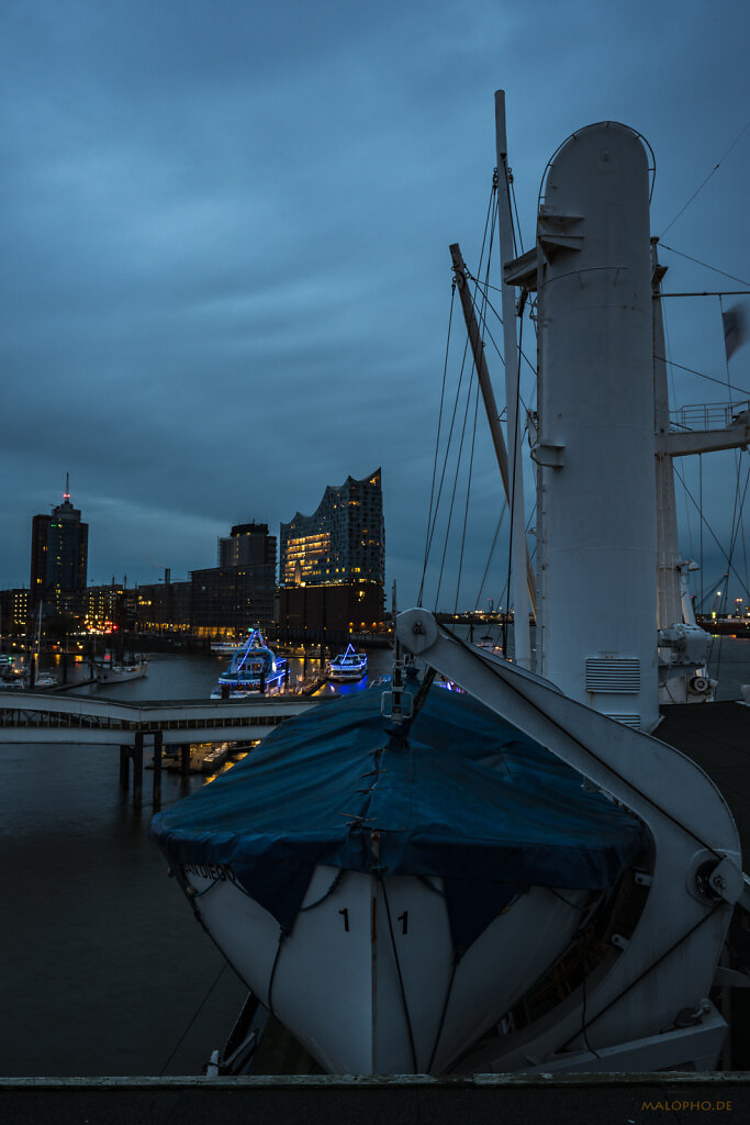 Blaue Stunde und Elphi